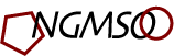 NGMSO